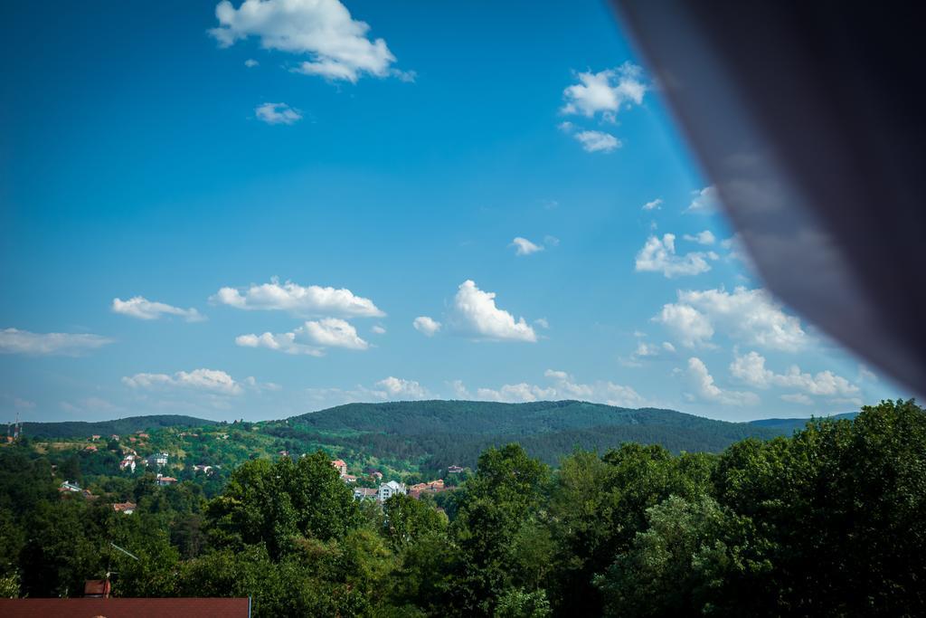 Hotel Danica Vrnjačka Banja Rom bilde